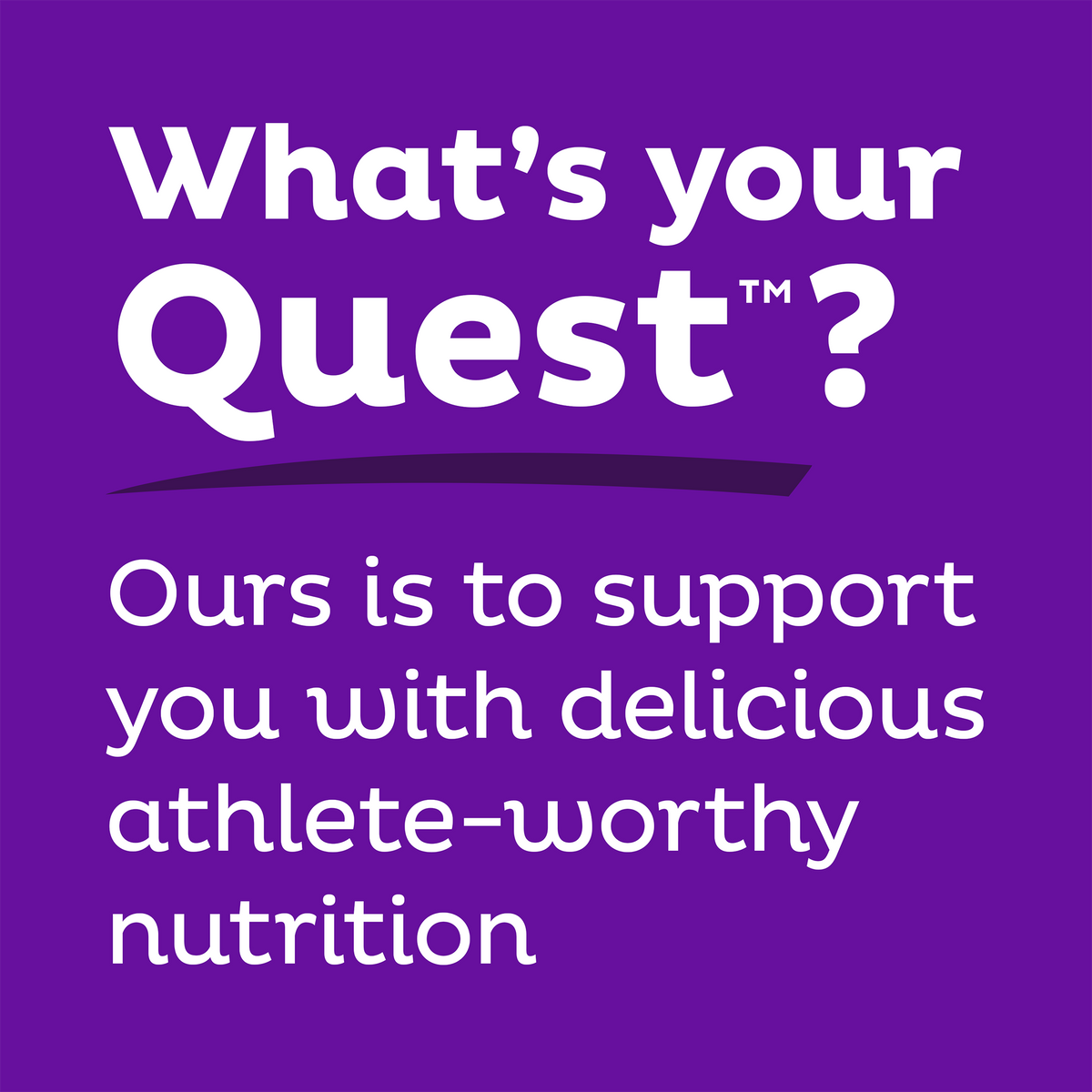 double-chocolate-chunk-protein-bars-r9 qst-000241_double-chocolate-chunk-protein-bars_9.png